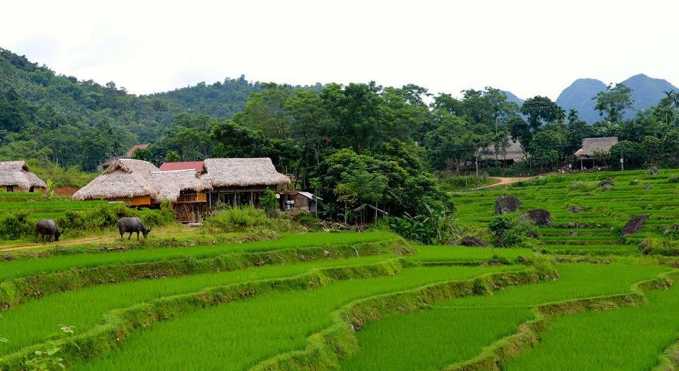 Puluong Valley Home Thanh Hóa Екстериор снимка